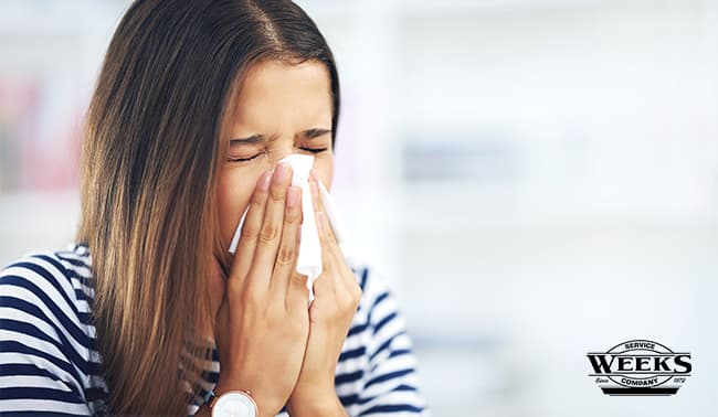 indoor air quality, iaq, indoor air quality solutions, spring allergies, springtime, iaq spring