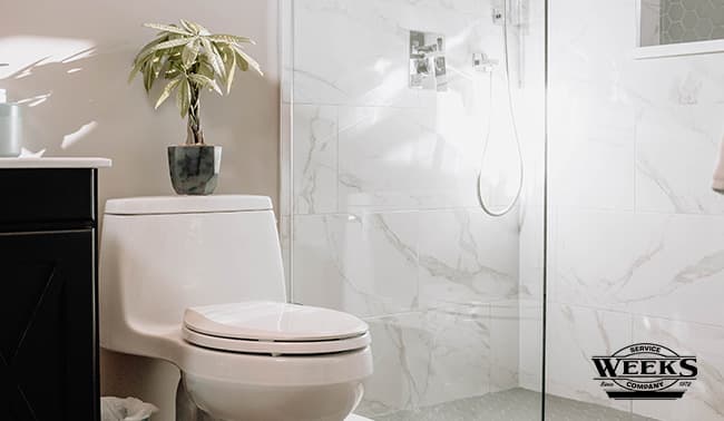 toilet repair, toilet, toilet service, toilet replacement, toilet clogs, unclogging toilet, causes of toilet clogs, plumber, plumbing, plumbers
