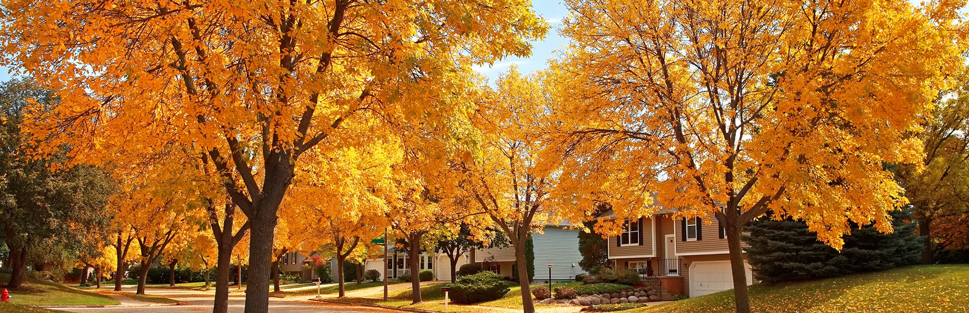 6 Plumbing Maintenance Tips For Fall: A Homeowner's Guide